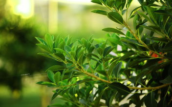 杭州空氣檢測公司最不推薦的除甲醛方法！