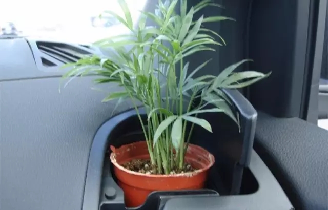 新車除醛，車內(nèi)除甲醛什么辦法***？