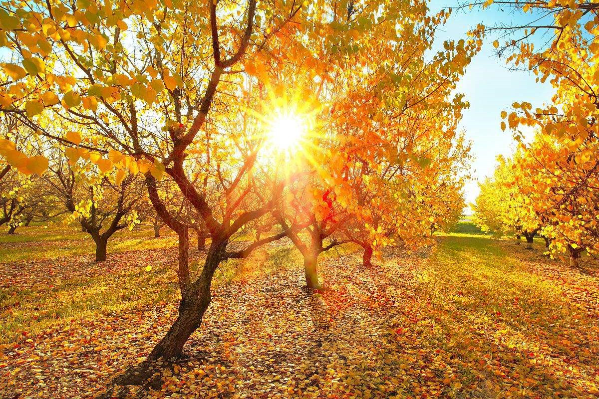 為什么秋季裝修異味這么重？甲醛超標(biāo)怎么辦