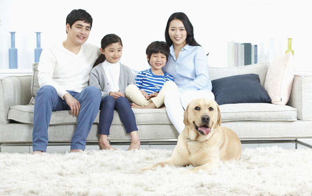 家里甲醛超標(biāo)怎么辦，受污染影響的人群有哪些