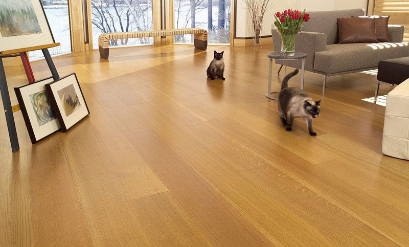 換新地板的房間全部甲醛超標(biāo)嚴(yán)重，地板甲醛超標(biāo)怎么辦？