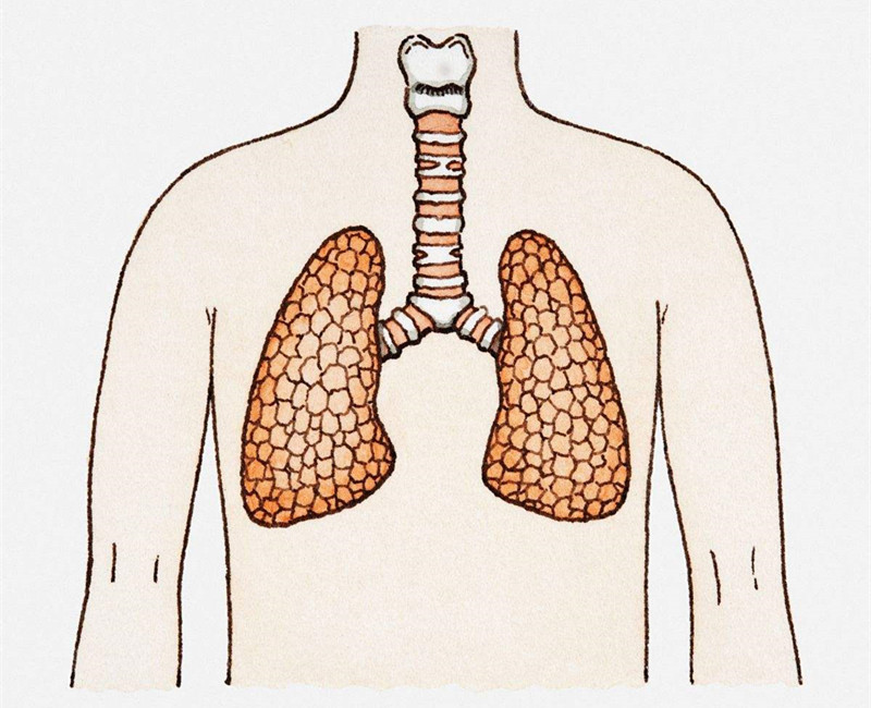 如何進行甲醛治理？沒有治理過的空氣就像虐待肺