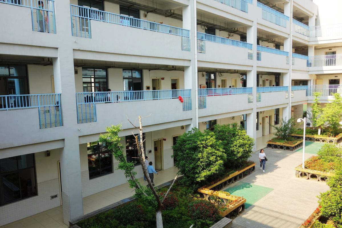 校舍裝修完買了400盆綠蘿凈化空氣，還有孩子開學(xué)***天就熏暈了！