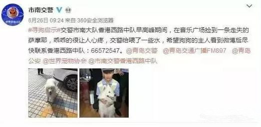 有問(wèn)題找警察，薩摩耶派出所報(bào)案，不注意這件事，對(duì)狗狗致命，警察蜀黍卻幫不上忙！