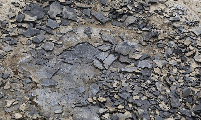 現(xiàn)代人生活節(jié)奏過快，卻導致環(huán)境空氣污染越來越嚴重