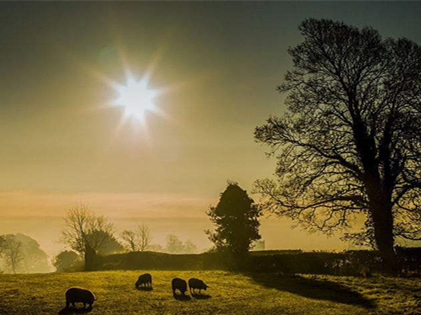 僅靠通風(fēng)換氣去除甲醛？這樣入住很危險哦！