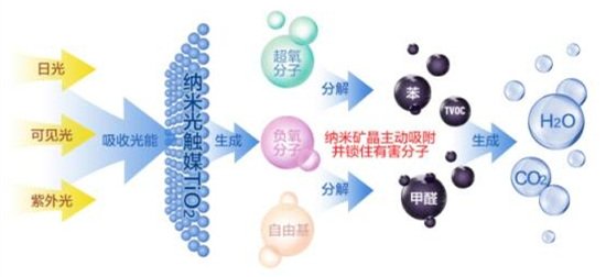 洋蔥可以除甲醛？民間流傳土方法可信嗎？