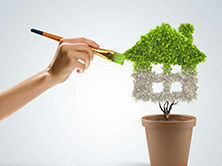 洋蔥可以除甲醛？民間流傳土方法可信嗎？