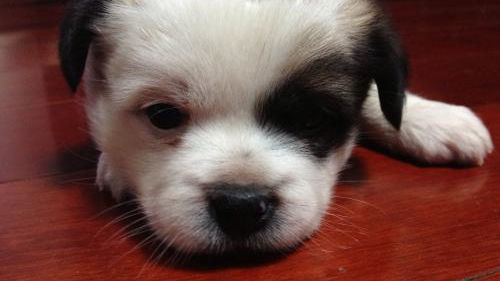 床墊薄膜要撕?jiǎn)?？不僅要撕還要除甲醛！