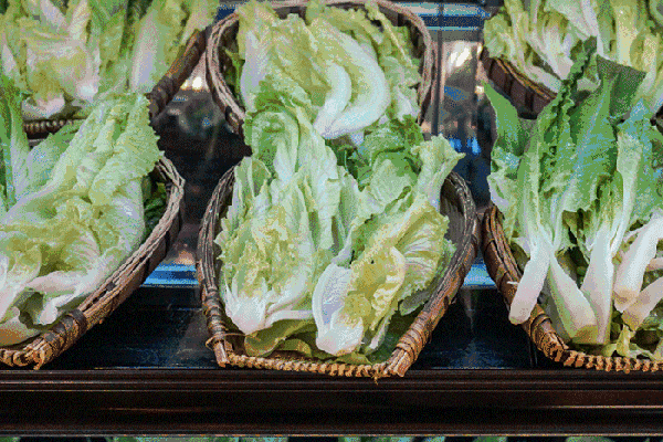 夏至高溫預(yù)警！消暑養(yǎng)生秘笈了解一下？