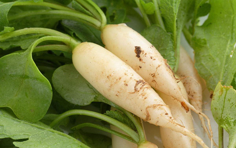 甲醛輕微超標能自愈嗎？