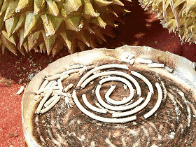 成分中有甲醛蚊香立馬變毒香，甚至還會(huì)致癌……