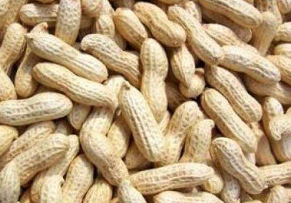 水煮花生含甲醛？實(shí)測(cè)多家燒烤店結(jié)果太可怕！