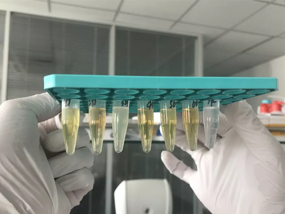 水煮花生含甲醛？實(shí)測(cè)多家燒烤店結(jié)果太可怕！