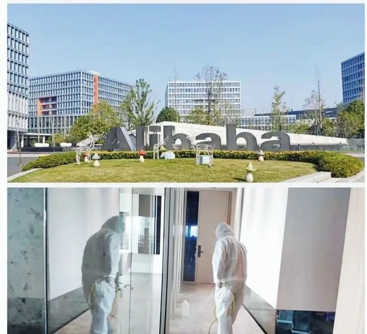 吾志所向，一往無(wú)前 | 創(chuàng)綠家2020年大事記