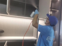 偏方真的能除甲醛嗎？