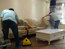 除甲醛公司需要具備哪些實力？