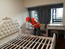 室內(nèi)除甲醛怎樣提高質(zhì)量？