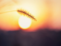 杭州夏季來(lái)臨，是除甲醛好時(shí)機(jī)