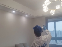 偏方真的能除甲醛嗎？