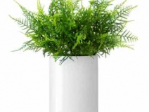 除了找除甲醛公司尋求幫助，還有什么辦法可以去毒