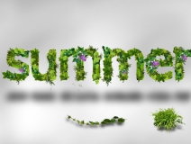 找除甲醛公司是一種辦法？是的，這還是您對待室內(nèi)空氣污染的正確心態(tài)！