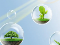 這些甲醛的危害你知道嗎？