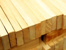 家長們集體發(fā)聲：不要打著“環(huán)?！钡钠熳訉⒆油聪露臼?！