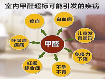 室內(nèi)除甲醛是什么？專業(yè)除甲醛是什么樣的