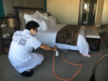 如何使用光觸媒除甲醛，以及它的原理是什么