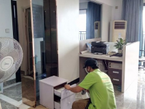 裝修后除甲醛依靠綠植可以嗎？