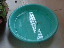 裝修完僅靠?jī)膳枥渌湍艹兹窟@個(gè)說(shuō)法連網(wǎng)友都出來(lái)辟謠！大家別再相信了！