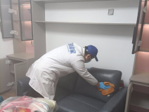 除甲醛都有哪些方法比較好用？