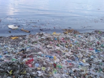 現(xiàn)代人生活節(jié)奏過快，卻導致環(huán)境空氣污染越來越嚴重