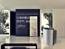 盆栽、魚兒養(yǎng)不活怎么辦 是甲醛導(dǎo)致的嗎？