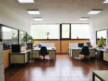 女子辦公室甲醛超標導致其換腎，辦公室甲醛超標怎么辦