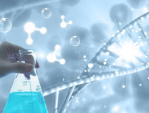 除甲醛需要注意什么？