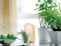 如何選擇一家靠譜的除甲醛公司？