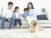 家里甲醛超標怎么辦，受污染影響的人群有哪些