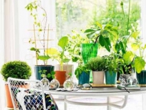 90%的家庭都甲醛超標(biāo)？所以要盡快找一家專業(yè)的除甲醛公司