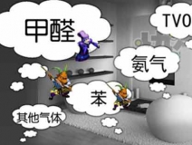 怎樣有效去除甲醛？