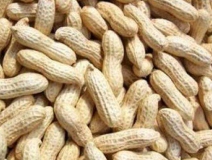 水煮花生含甲醛？實(shí)測(cè)多家燒烤店結(jié)果太可怕！