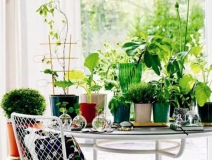 多數(shù)業(yè)主家庭裝修“偽環(huán)?！?您被中招了嗎？