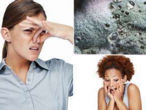 家里有異味怎么辦？科學(xué)除味、治理甲醛就對了！