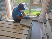 如何有效地除甲醛？