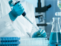 綠植真的能除甲醛嗎？