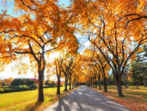 秋季新房裝修怎么樣進行甲醛治理呢？