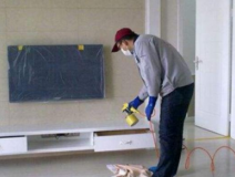 裝修后除甲醛的方法有哪些呢？