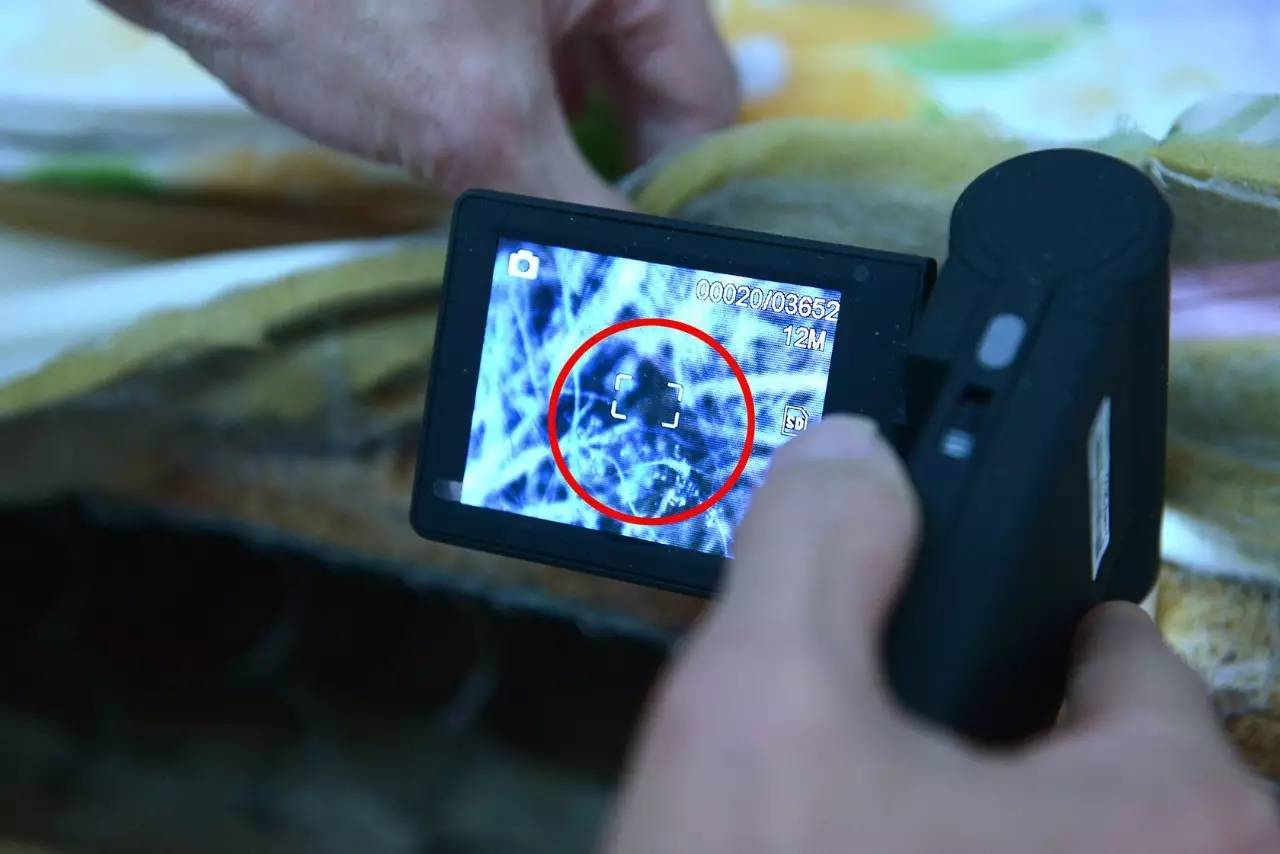 南京美女睡了10年的床墊，掀開后把全家人都嚇傻了……