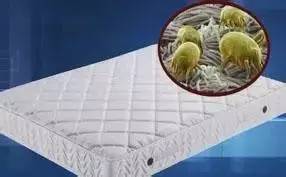 南京美女睡了10年的床墊，掀開后把全家人都嚇傻了……